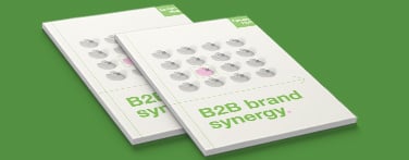 B2B Brand Synergy