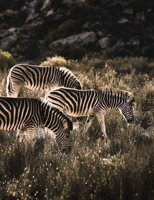 Three marketing opportunities B2B Service Firm professionals should leverage