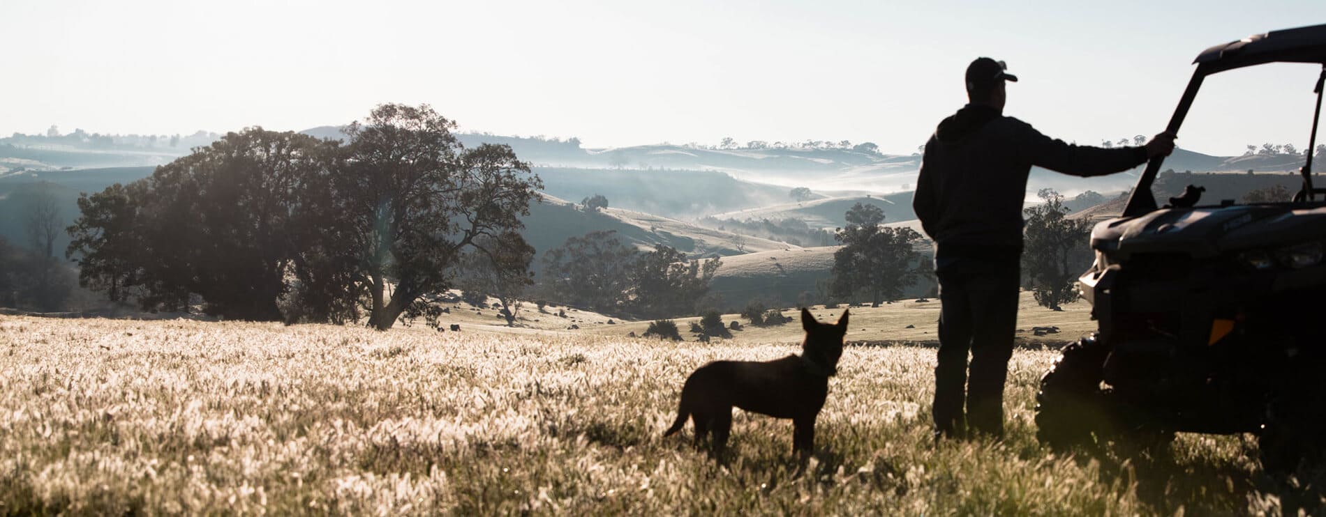 How we created a best-in-class web experience