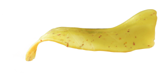 Burger layer - Pepper - Advertising